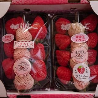 3品種いちご食べ比べセット(約400g～600g) - ままりあ農園 【かごしま