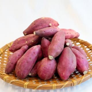 頴娃町産 さつまいも | 贈答用 2kg - 【かごしまぐるり】鹿児島の名物