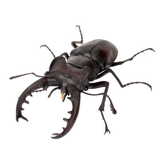 いきもの大図鑑 くわがた11 [4.ミヤマクワガタ(新色)],バンダイ