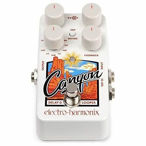 Canyon / ディレイ/ルーパー / Electro-Harmonix（エレクトロ