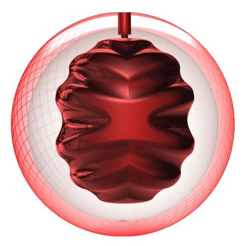 継続性のある回転とレーン変化の対応力が進化】ロトグリップ ジェム