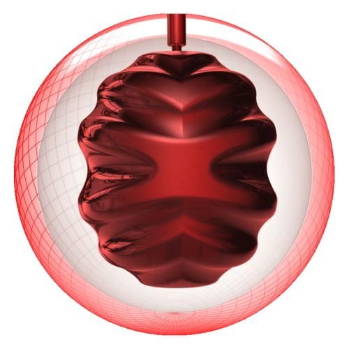 初代から大ヒットのジェムシリーズから最新作！ロトグリップ