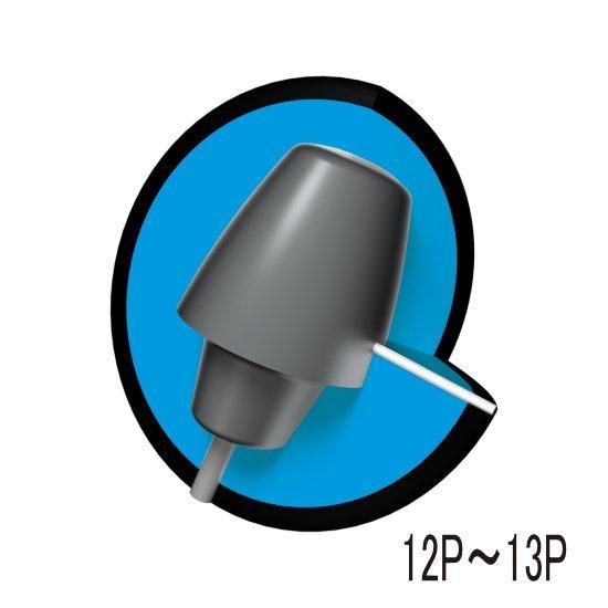 Brunswickの進化過程はいよいよ第2フェーズに突入！】ブランズウィック