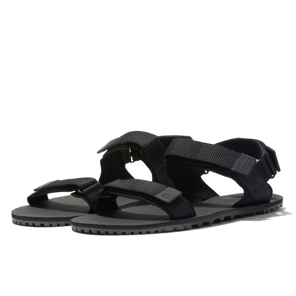 M's D-TRAIL - 宗像山道具店 by GRIPS