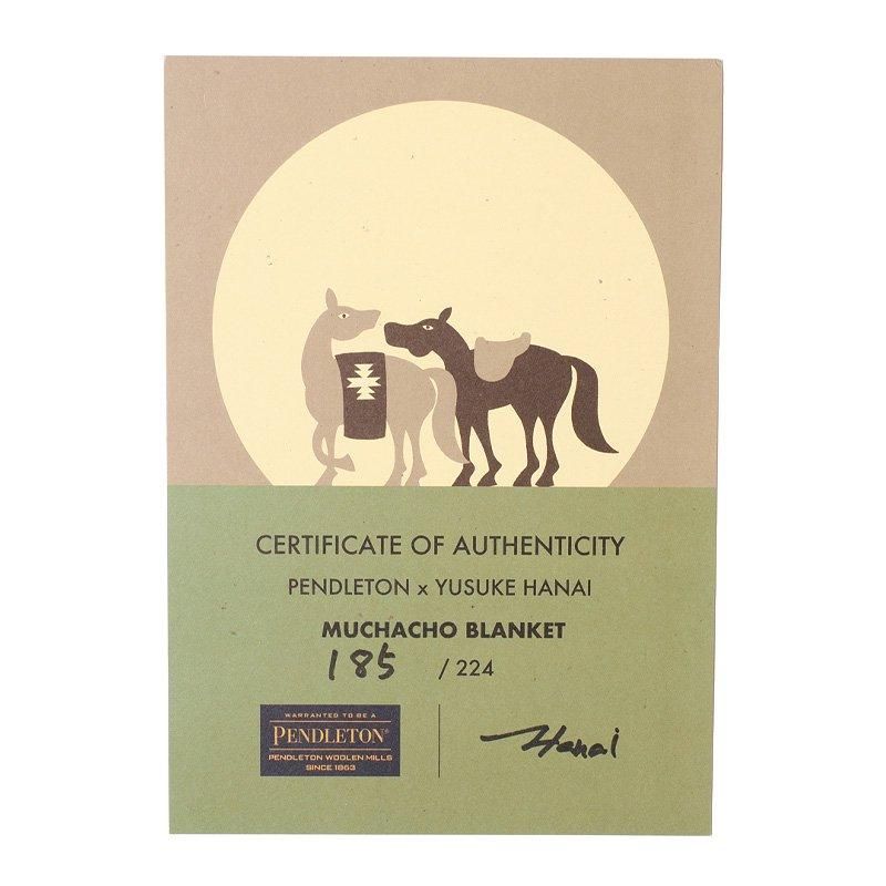 WAREHOUSE & CO. / PENDLETON × YUSUKE HANAI Custom Muchacho Blanket