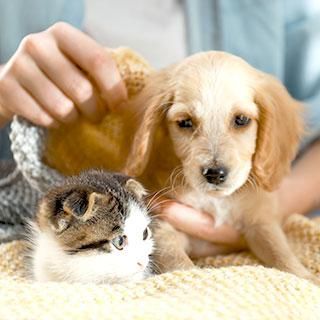 ネイチャーズテイスト サンプルセット(2点まで) ※お問い合わせフォーム