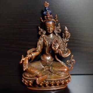 ほら貝・法螺貝・ホラガイ（シャンカ） 文殊菩薩 販売｜大阪 多羅堂