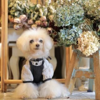 カンパーニュ・ブラウス - 「ブルーブルーブルー blue bleu bleue