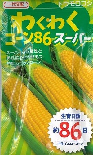 わくわくコーン86スーパー - オガワのタネ オンラインショップ