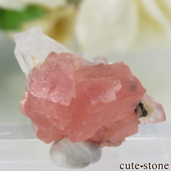 コロラド スイートホーム Blue Moon Pocket産 ロードクロサイト