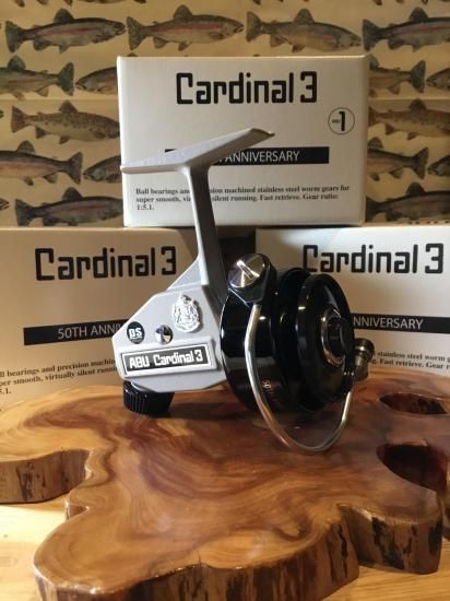 カーディナル3 50thモデル DAYSPROUT - 出商店