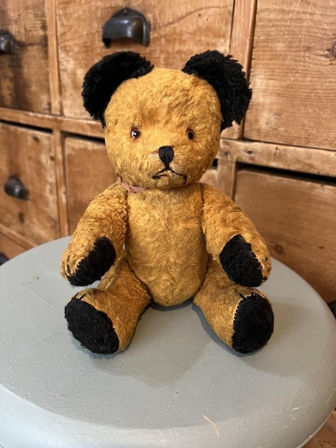 ヴィンテージ スーティーベア - アンティークとテディベアの店 Parade