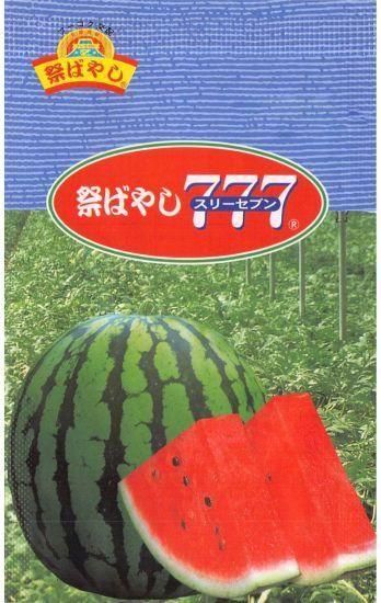 大玉スイカの種【祭ばやし777】〔F1〕 - 種の専門店 松尾農園