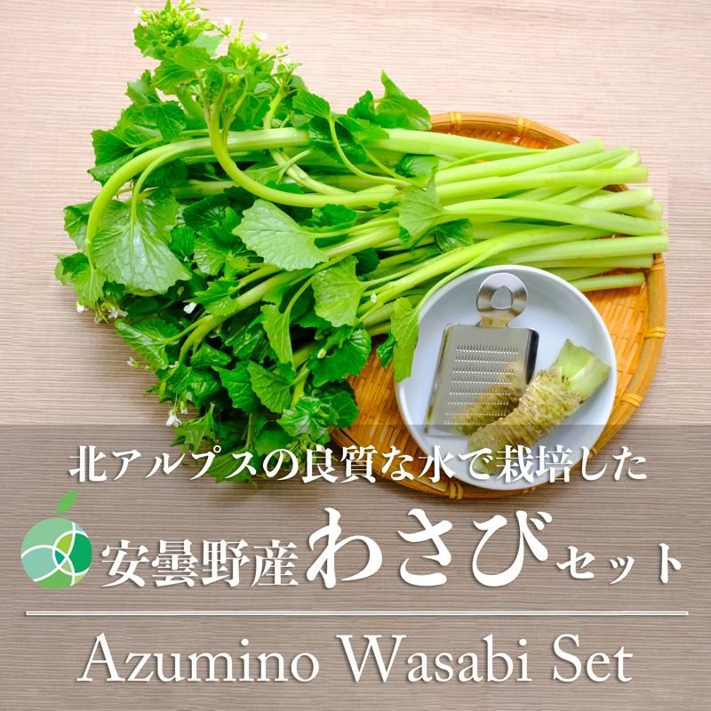 わさび+花わさびセット 野菜 ワサビ2本+おろし金+花ワサビ10束 約1kg