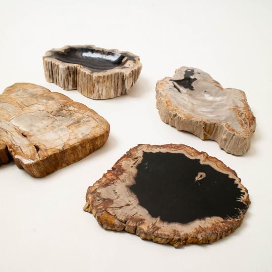 OAK Petrified Wood 【珪化木 Accessory Tray 「WS001」】 ー
