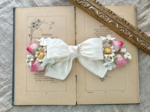 Belle des Poupee - Fairy wish web shopping catalogue