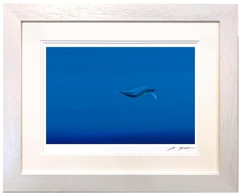 アートグラフ【深き海へ】三々サイズ - 葉祥明美術館公式ネットショップ