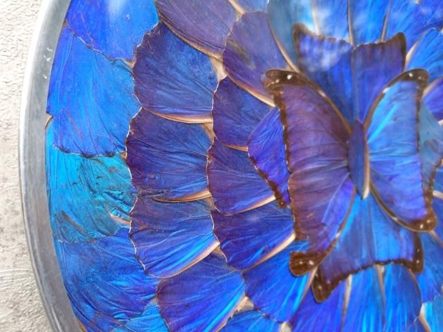 ブラジル モルフォ蝶 インテリア クラフト-メキシコ雑貨と民芸品