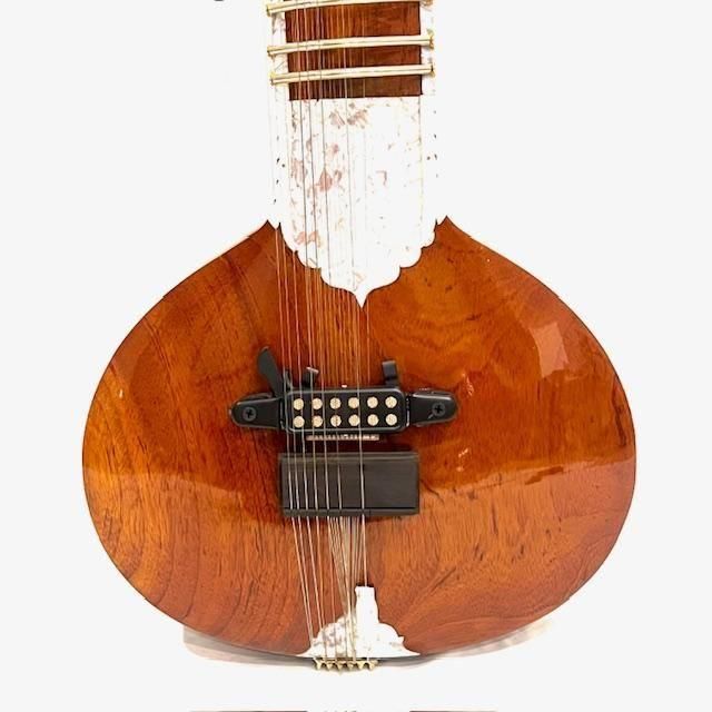 Travel Sitar トラベルシタール ピックアップ付き Shahid Ali製