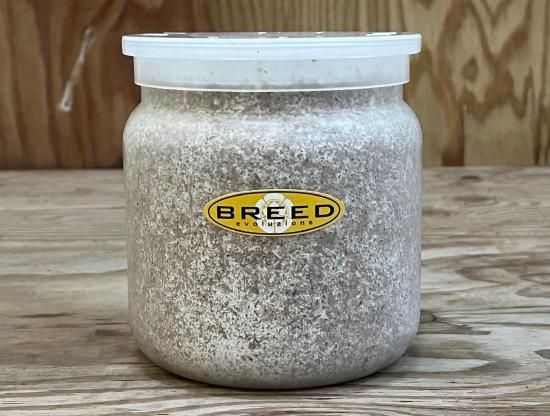 BREED 1500ml 菌糸ビン（2次発菌・手詰め）単品 好評販売感謝価格