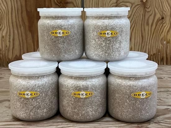 BREED 1500ml 菌糸ビン（2次発菌・手詰め） 8本セット 好評販売感謝