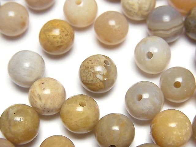 フォシルコーラル 片穴ラウンド 6個｜天然石ビーズの卸問屋・通販