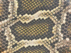 ちんだみ三線 白木 人工皮張三線 8点セット