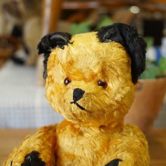 イギリス ヴィンテージ ぬいぐるみ テディベア スーティーベア 22cm
