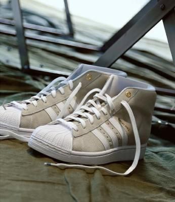 adidas 限定プロモデル