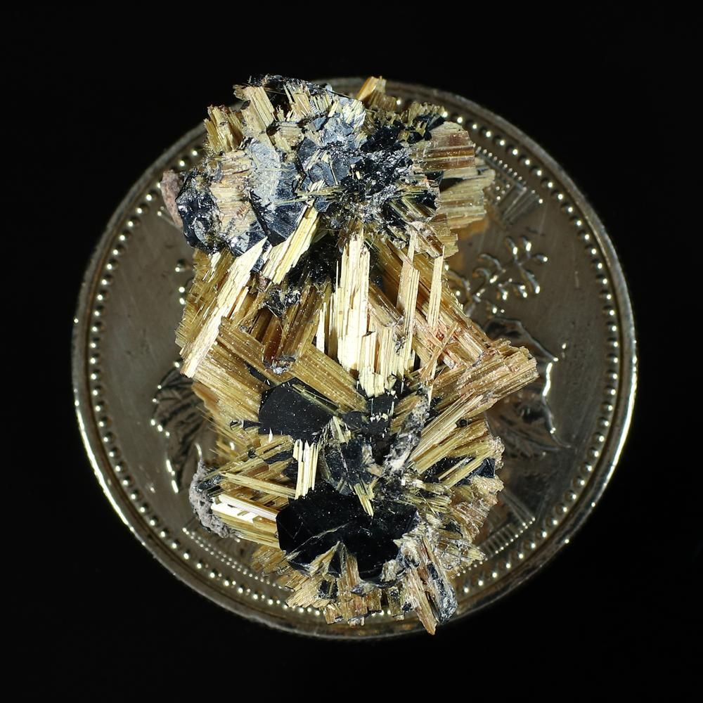 太陽放射ルチル 結晶/標本 [高さ17.7mm×横27.1mm×厚さ9.7mm](型番sun