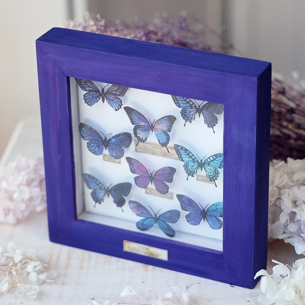 蝶標本箱・星空コレクション・紫（9匹入り） - 海福雑貨通販部