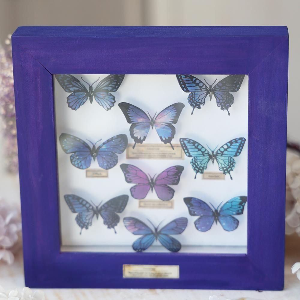 蝶標本箱・星空コレクション・紫（9匹入り） - 海福雑貨通販部