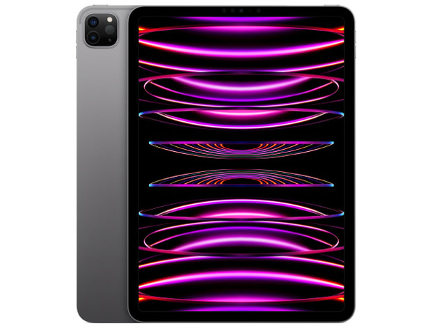 Apple iPad Pro 11インチ 第4世代 Wi-Fi 256GB 2022年秋モデル MNXG3J