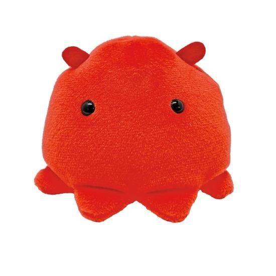 ぽけぷに メンダコ - ぬいぐるみメーカーTAKE OFFの公式オンライン