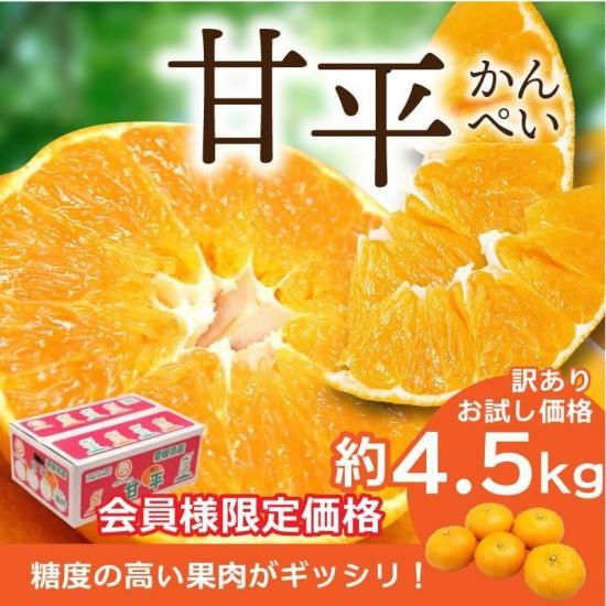会員様限定価格 甘平 (かんぺい)【訳あり・お試し価格】4.5kg 旬の甘く