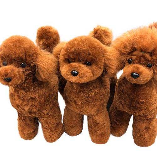 TOP LINE】トップライン 3in1プードルプラスチックモデル（全身モデル