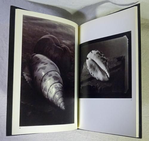 Josef Sudek: Still Lifes ヨゼフ・スデック - 古本買取販売 ハモニカ