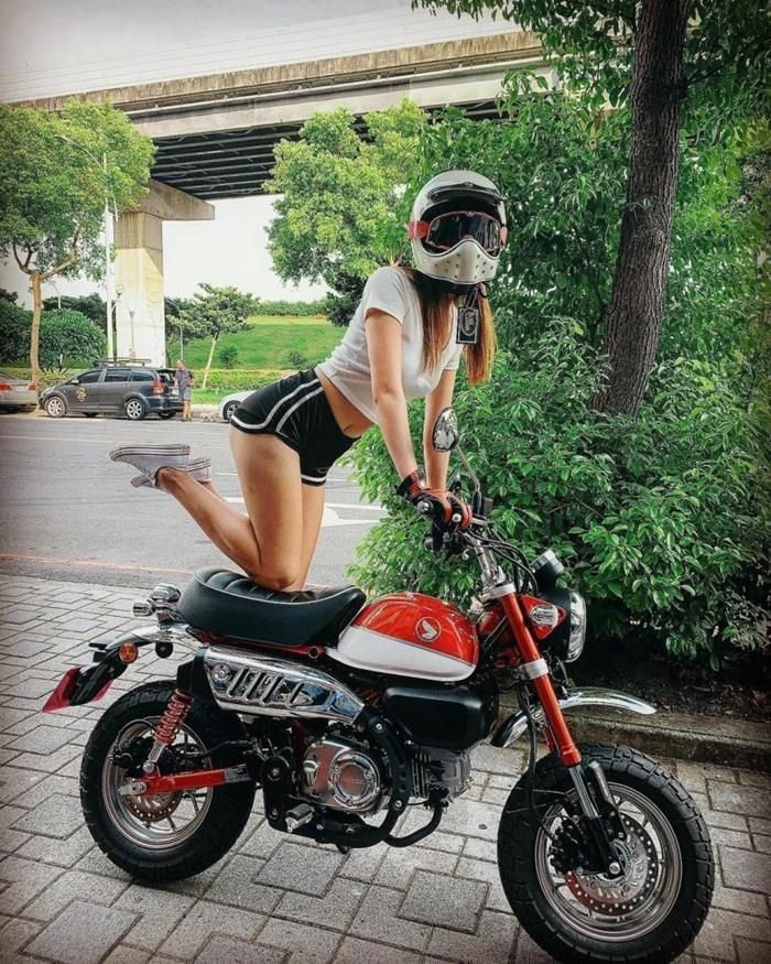 BLADE RIDER【ブレイドライダー】BRT-003 FRP MODEL ホワイト - HARM'S