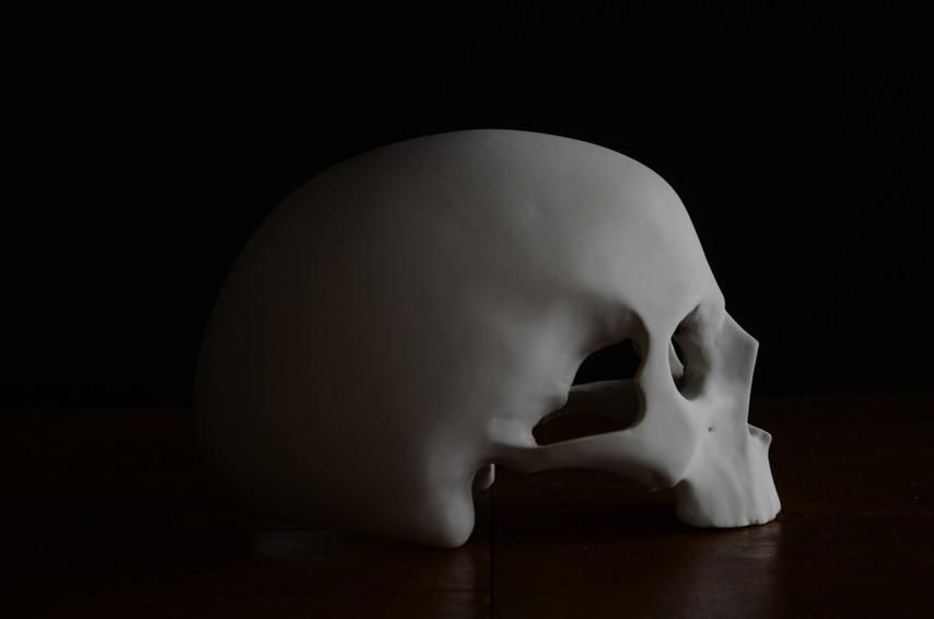 濱中史朗/スカル - TORASARU