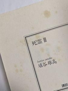 死霊 埴谷雄高 全3巻揃 講談社文芸文庫