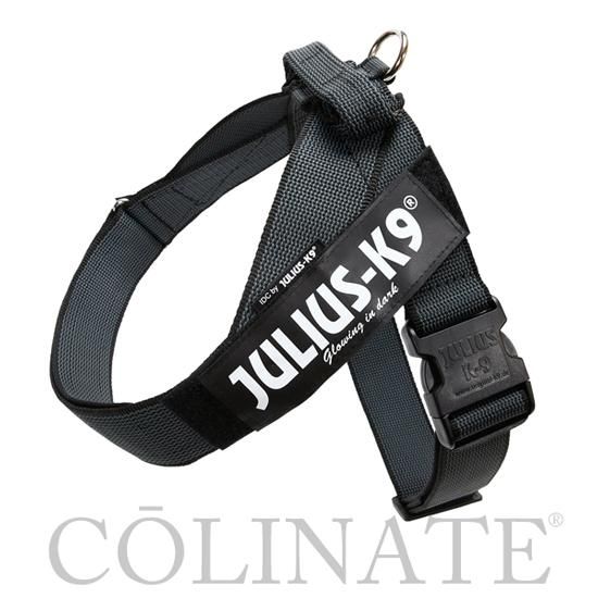 中型犬・大型犬・超大型犬用 ハーネス【ベルト/Belt】正規品 JULIUS-K9