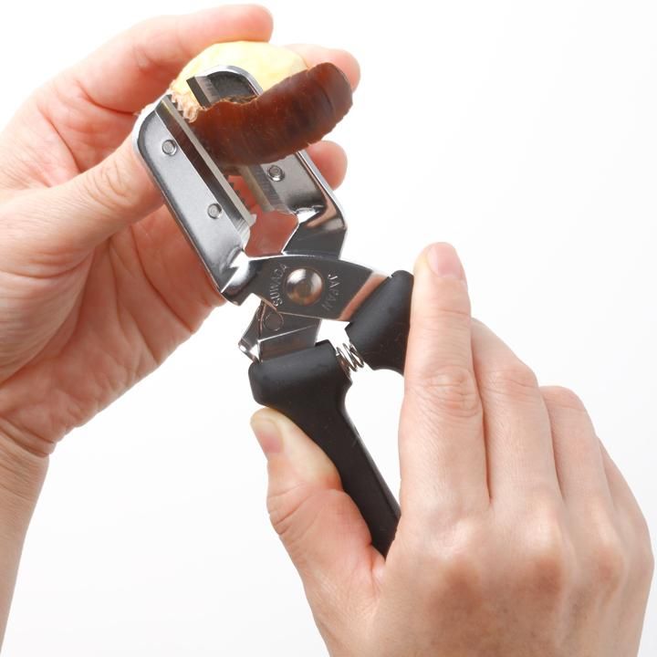 SUWADA 新型栗くり坊主 - SUWADA ONLINE SHOP