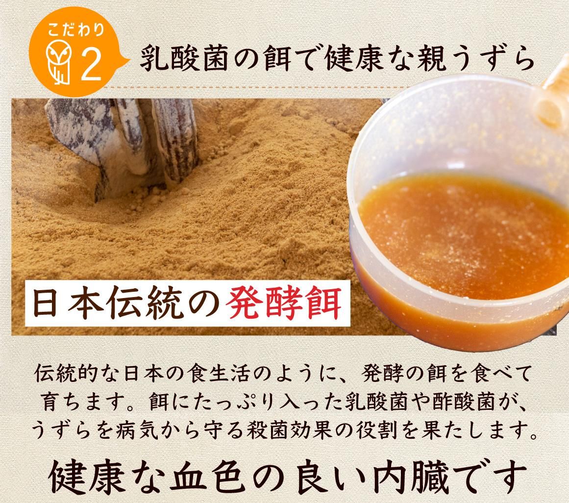 処理済み冷凍うずら（5kg/50羽）【送料込】 fit=scale-down,w=1200