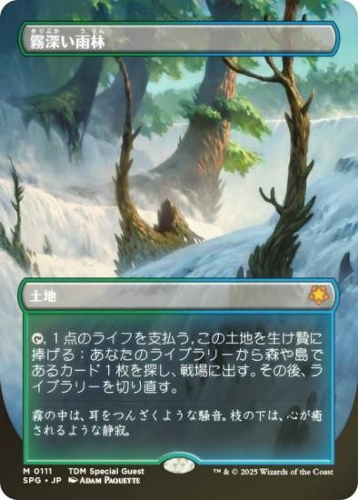 サ*ン様 MTG マジック ザ ギャザリング 霧深い雨林 日本語 4枚 非