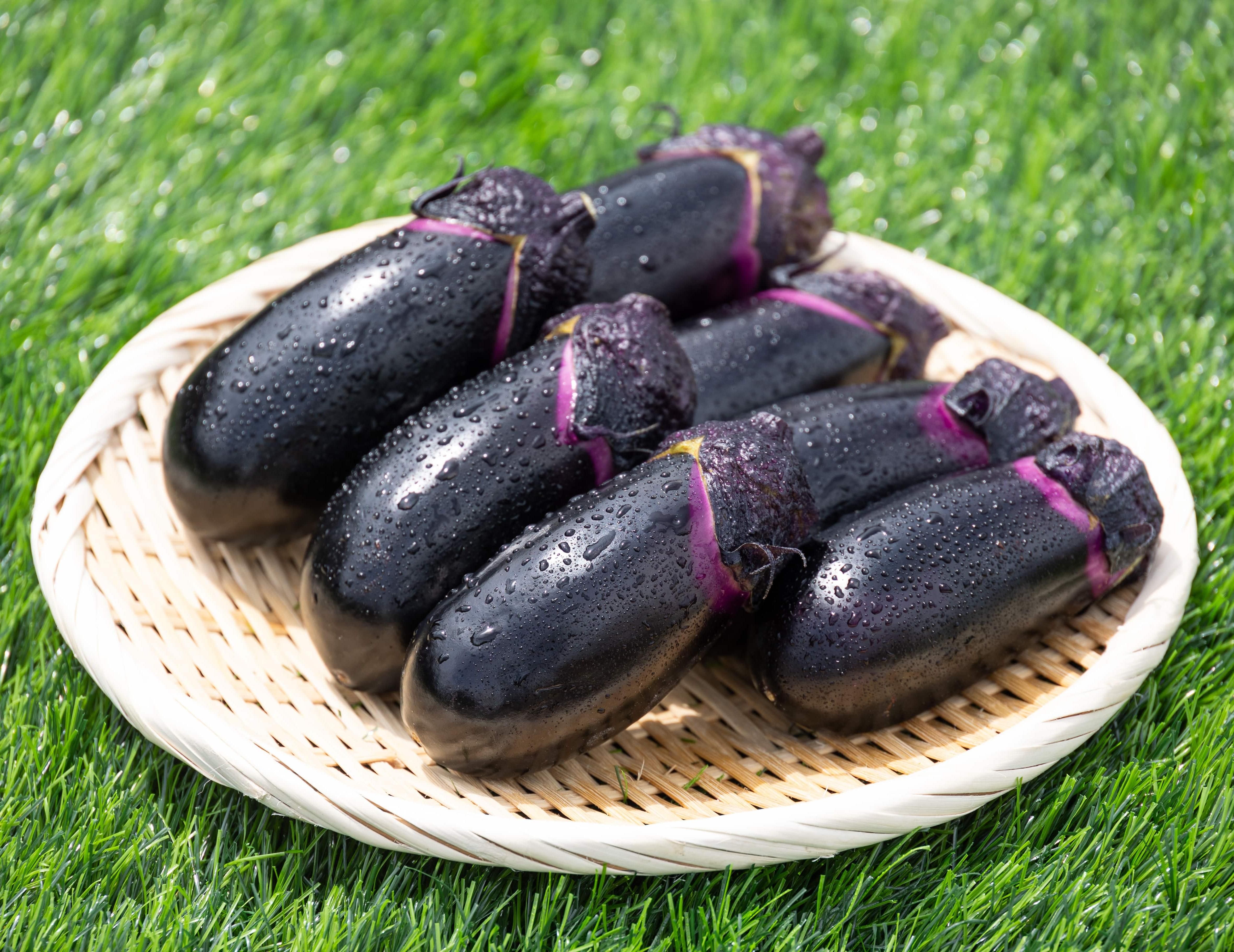 立仙農園】うちのなす1kg - 土佐香南まるごと旨市