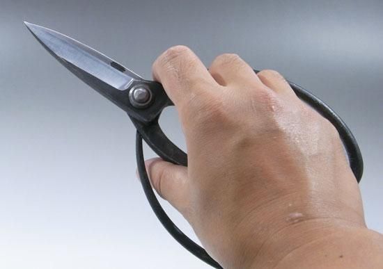 大久保鋏 刃長 兼進作 -白鋼（白紙）- No.110B - 盆栽、園芸道具の兼進