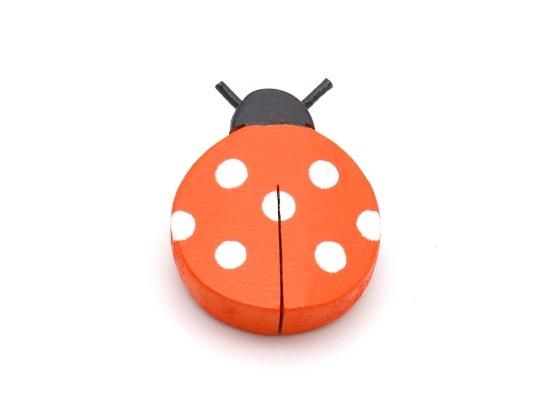ブローチ てんとう虫：オレンジ - KURUMIRU ONLINE SHOP