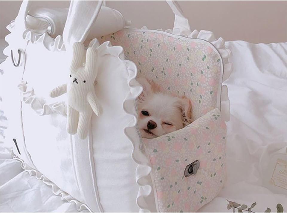 ABOUT US - BABIANA JAPAN