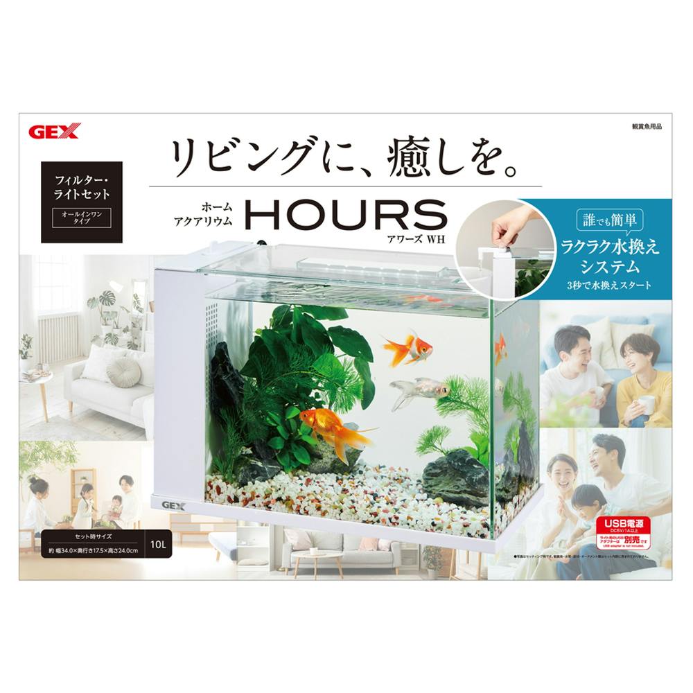 えいちのみずワカガエル 1ヶ月セット えいちのみずワカガエル 1ヶ月