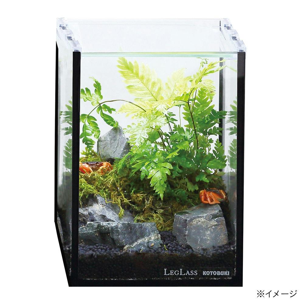 クリスタルキューブ150H/B | 水中生物用品・水槽用品 通販